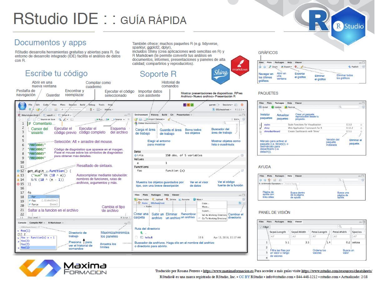 Entorno de desarrollo RStudio IDE