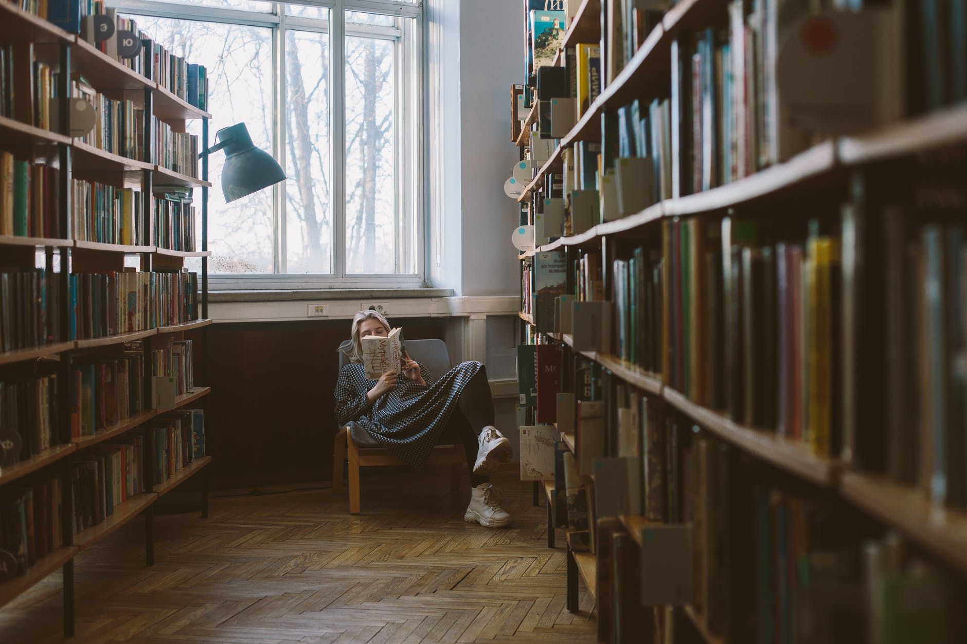 Los mejores libros de estadística y R
